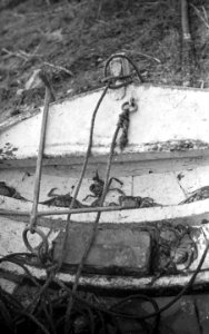 Zoetwatervisserij , chinese krab, Bestanddeelnr 194-1110