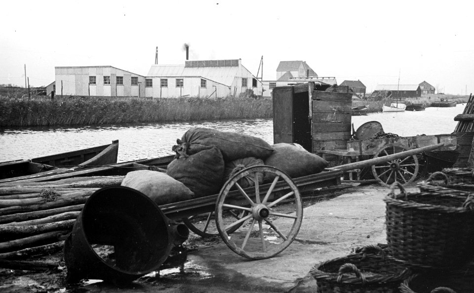 Zoetwatervisserij , chinese krab, Bestanddeelnr 194-1106