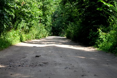 Zimmersee 2020-08-05 94