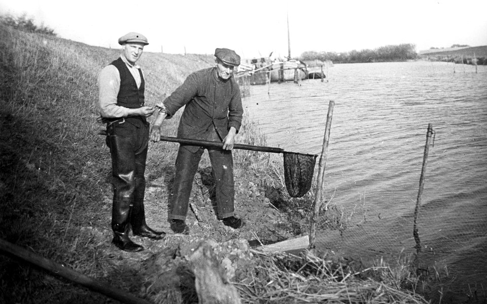 Zoetwatervisserij , chinese krab, Bestanddeelnr 194-1105