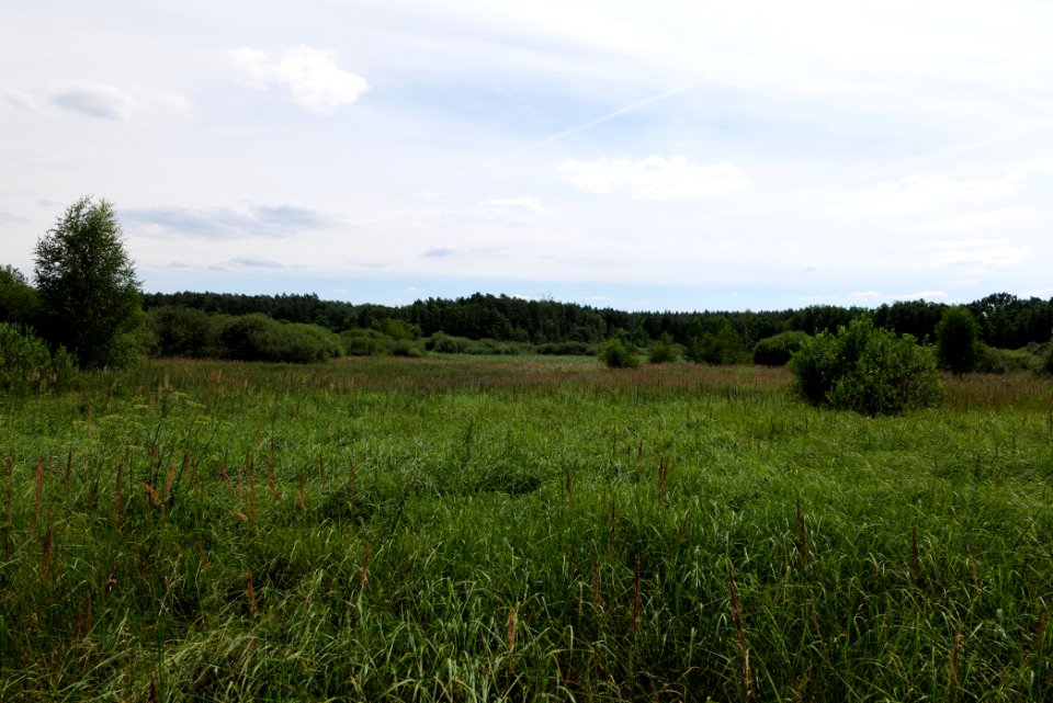 Zimmersee 2020-08-05 49