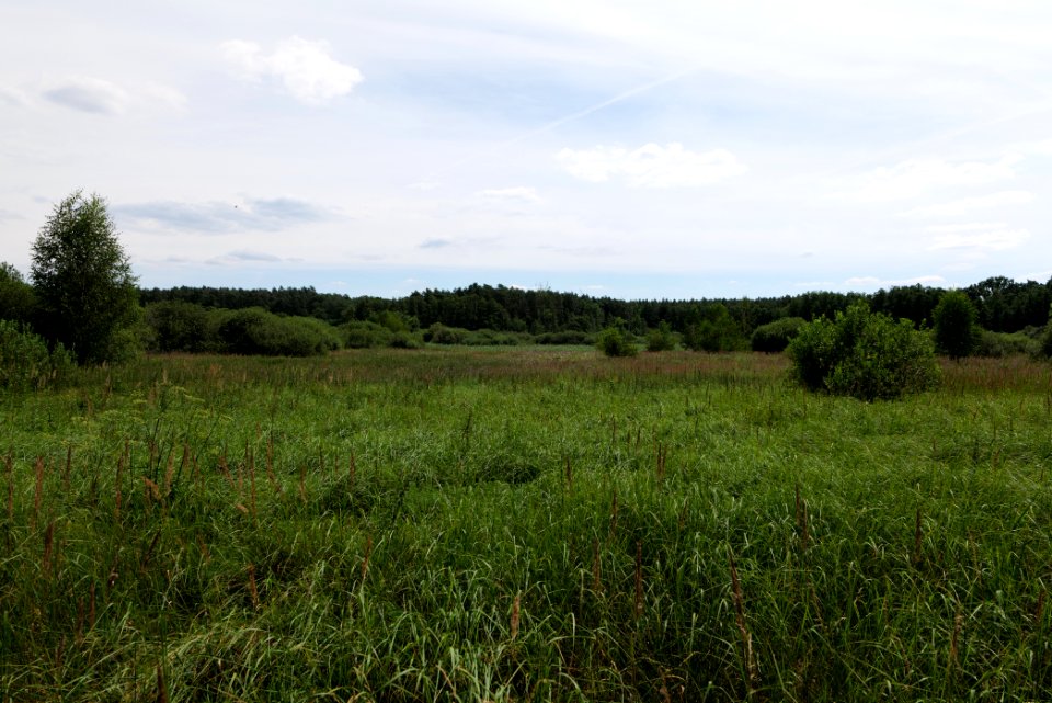 Zimmersee 2020-08-05 48