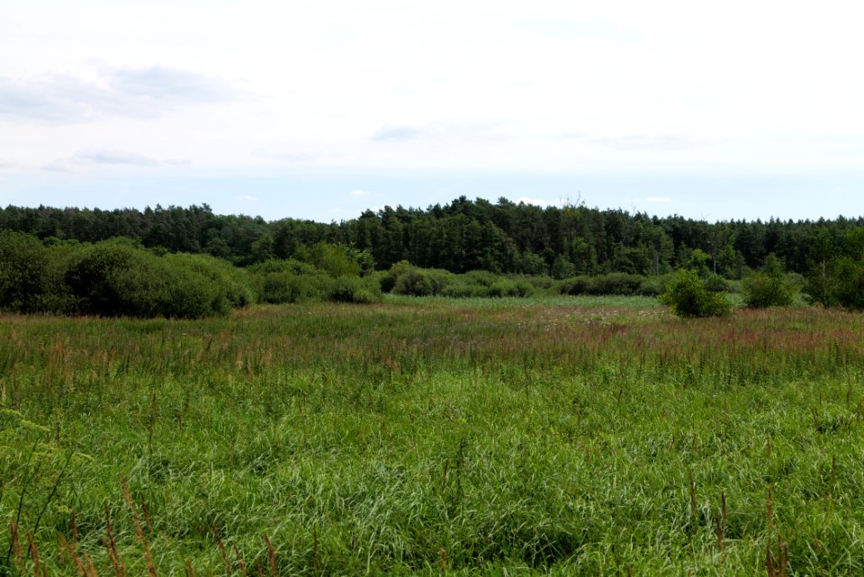 Zimmersee 2020-08-05 51