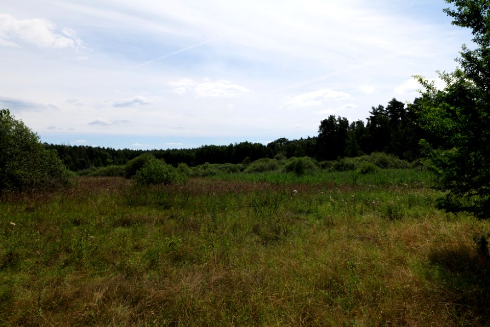 Zimmersee 2020-08-05 36