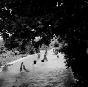 Zomerkamp voor spastische kinderen te Rehovot (Vera Weizmann summer camp for pos, Bestanddeelnr 255-3932