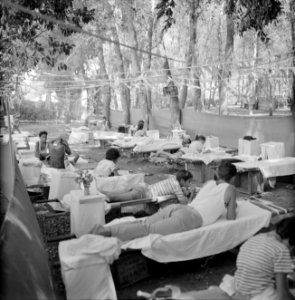 Zomerkamp voor spastische kinderen te Rehovot (Vera Weizmann summer camp for pos, Bestanddeelnr 255-3937