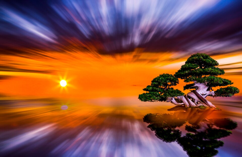 Sun nature panoramic