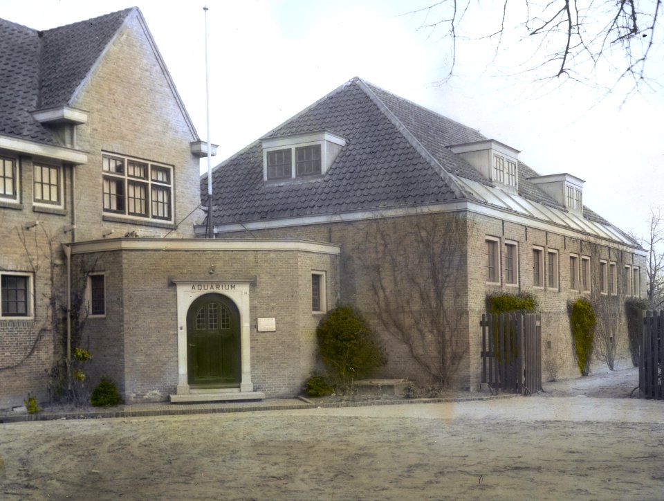 Zoetwatervisserij , aquarium, Bestanddeelnr 194-1079