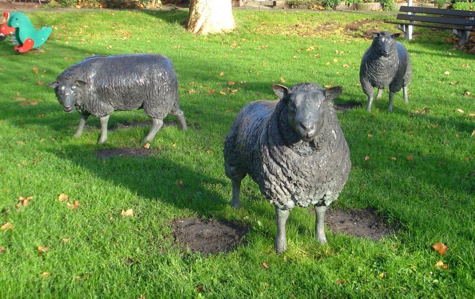 Zoeterwoude kunstwerk schapen