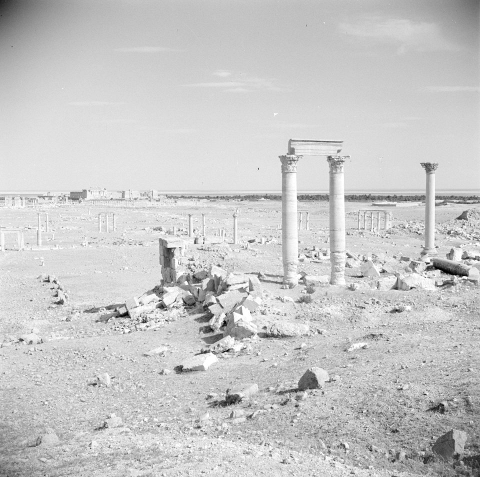 Zicht over de vlakte met de ruïnes van Palmyra, Bestanddeelnr 255-6131