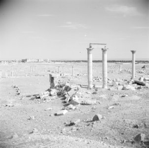 Zicht over de vlakte met de ruïnes van Palmyra, Bestanddeelnr 255-6131