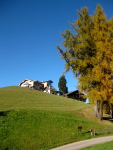Zirmerhof in Radein 2