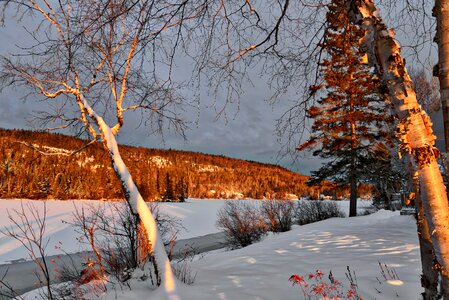 Season frost winter landscape photo