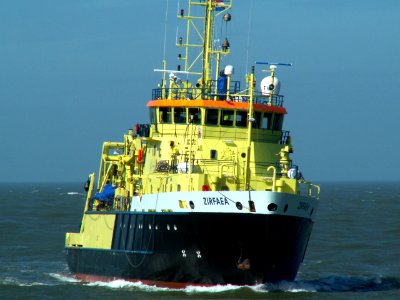 Zirfaea p1