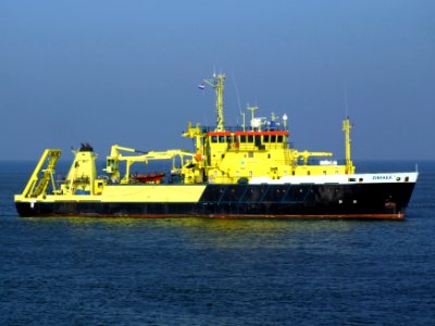 Zirfaea 9046497 p2