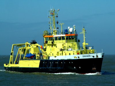 Zirfaea p2