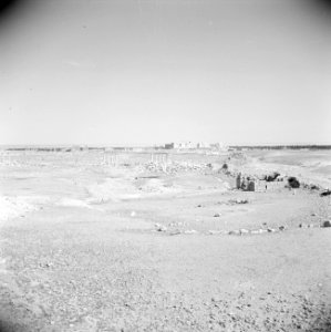 Zicht over de vlakte van Palmyra, Bestanddeelnr 255-6129