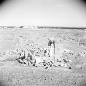 Zicht over de vlakte van Palmyra, Bestanddeelnr 255-6128