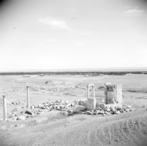 Zicht over de vlakte met de ruïnes van Palmyra, Bestanddeelnr 255-6130