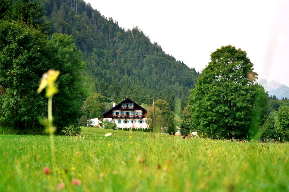 Zieglerhof bjs0809-01