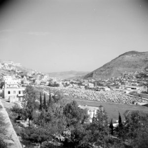 Zicht op Nablus De begraafplaats, Bestanddeelnr 255-5564