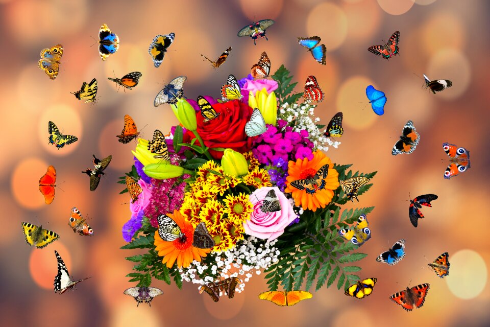Bouquet flying wing