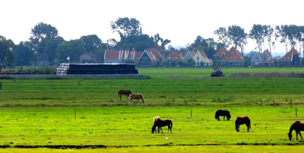 Zicht op Zuiderwoude