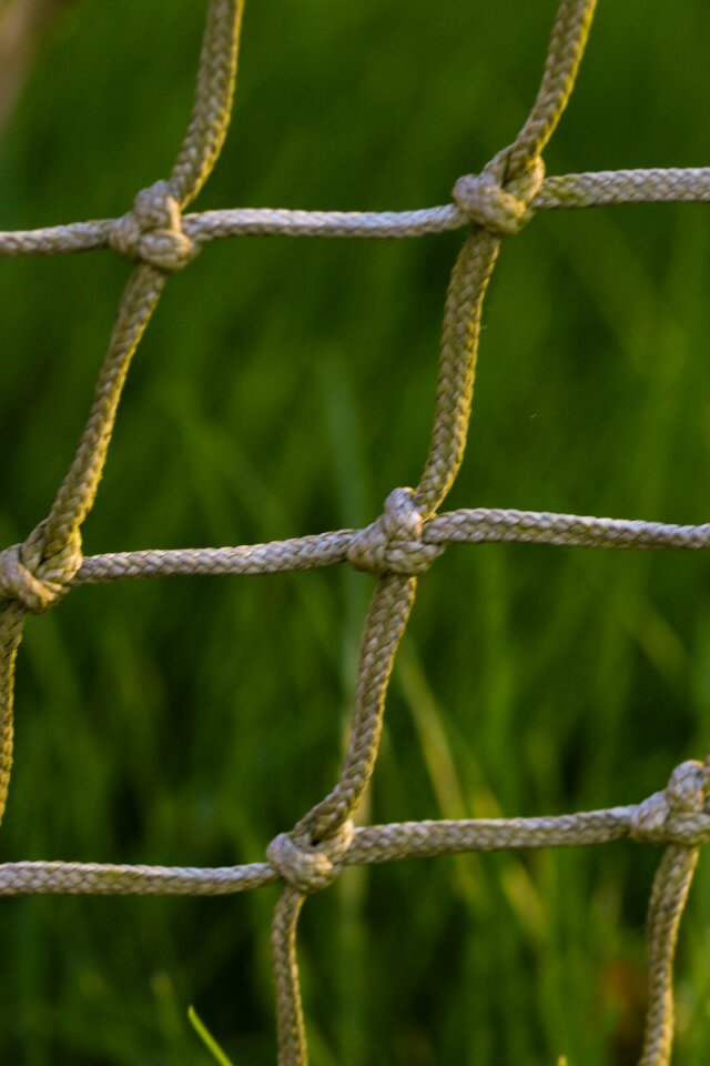 Grass sport green sports