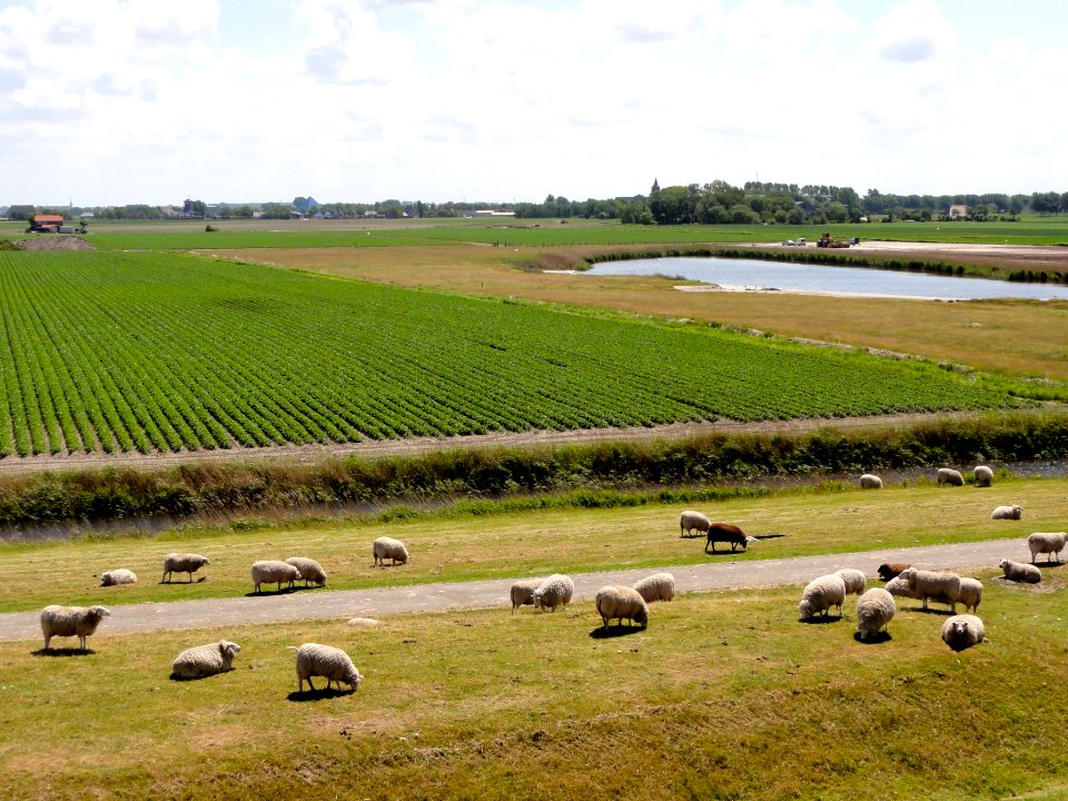 Zicht op Sexbierum