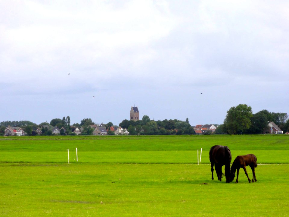 Zicht op Pingjum2