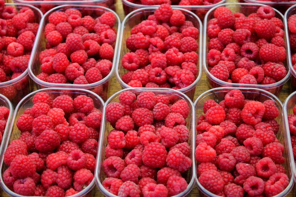 Food dessert naschmarkt