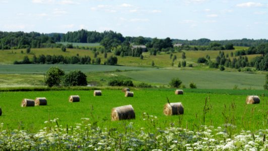 Zilkalne