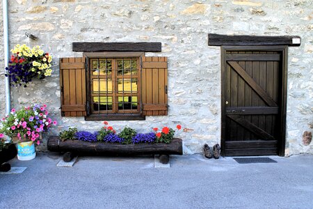 Window flowers wood photo