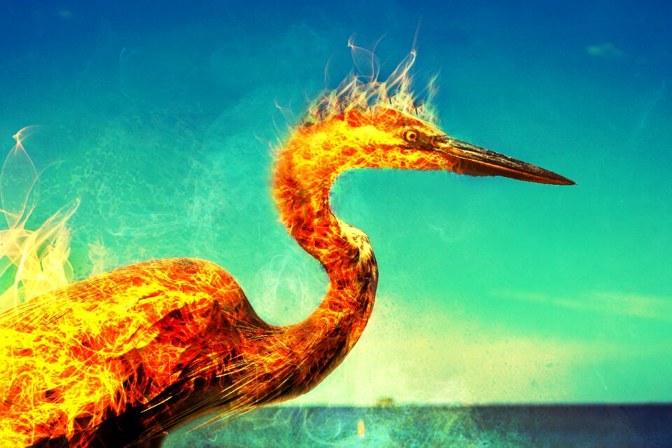 Heron bird mythology