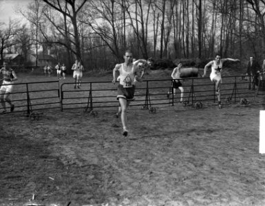 Zilverrust, veldloop 3500 m op Duindigt, Bestanddeelnr 903-3061