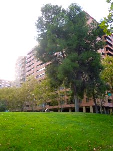 Zaragoza - Jardines de la Taifa de Saraqusta 2