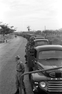 Zaterdag 12 november werden te Ngandjoek (Oost-Java) 48 Fordvrachtauto's, 16 mot, Bestanddeelnr 965