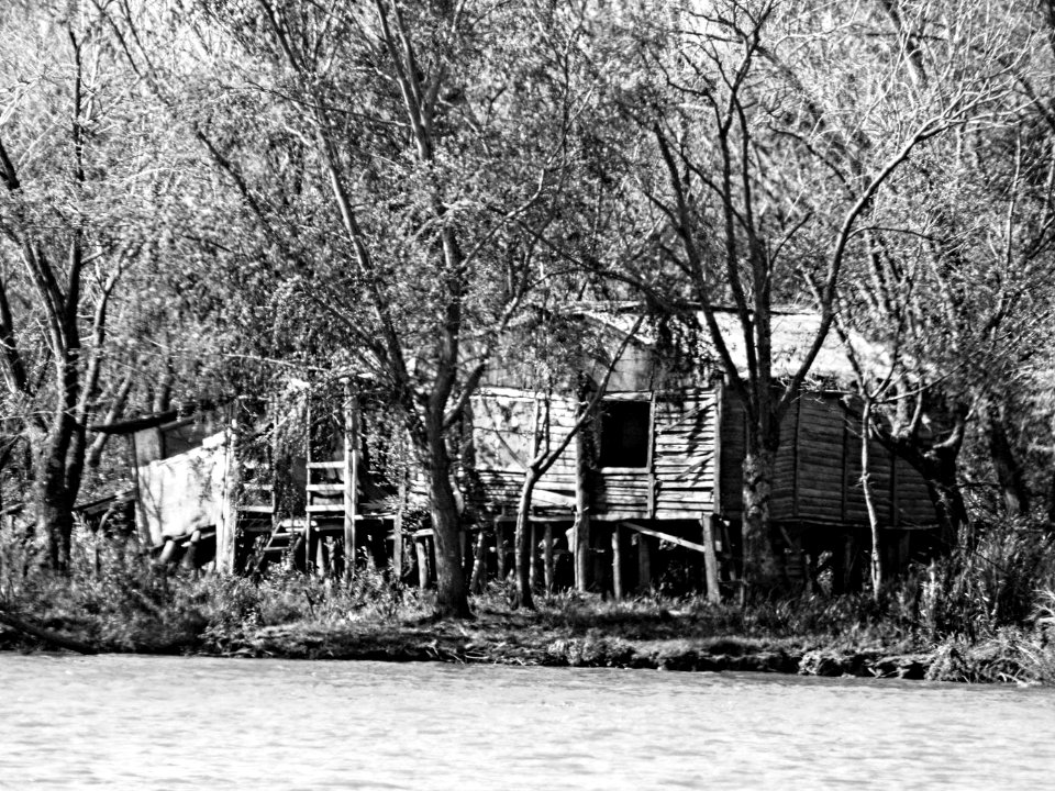 Zarate En Blanco Y Negro (228397063)