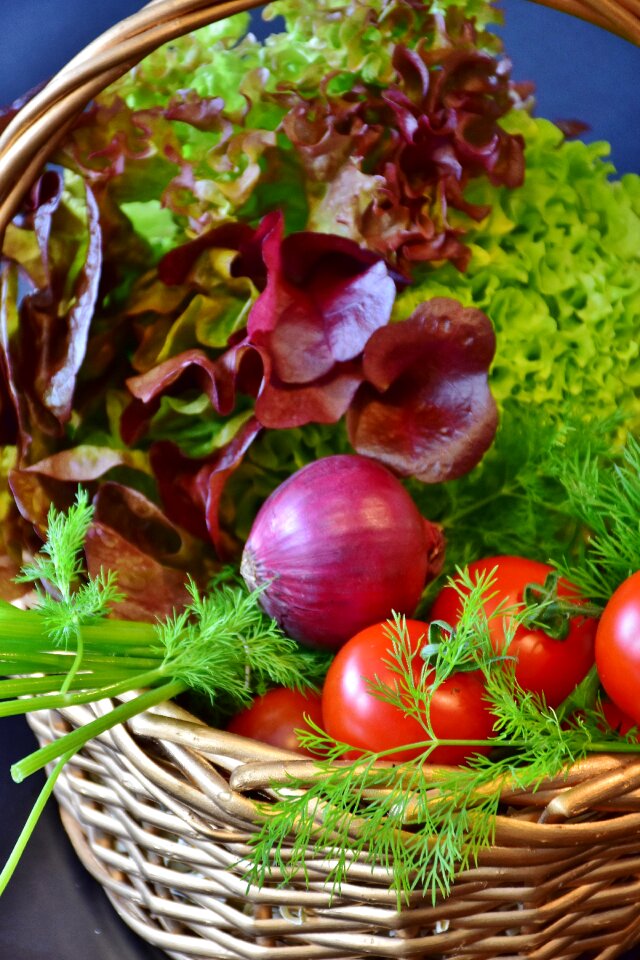 Dill red onion lollo rosso