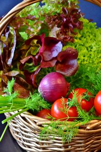 Dill red onion lollo rosso