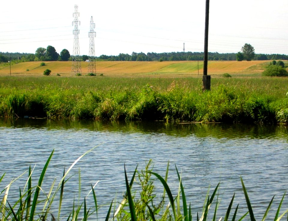 Zbocze Bydgoskie - Prądy 2005f