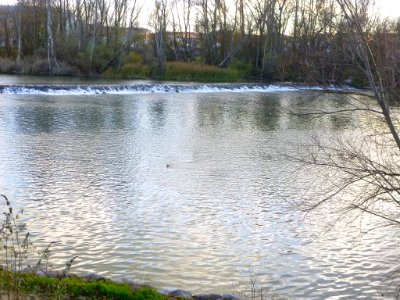 Zamora - Río Duero 15