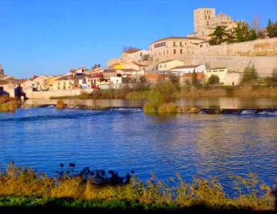 Zamora - Río Duero y Catedral 03