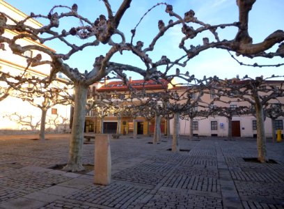 Zamora - Plaza de Viriato 3