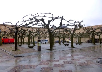 Zamora - Plaza de Viriato 2