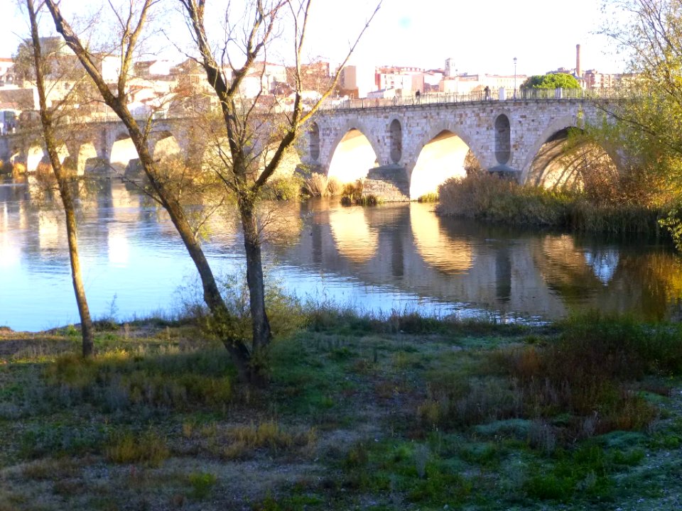 Zamora - Puente de Piedra 06