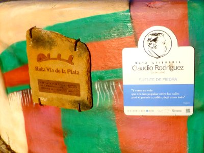 Zamora - Puente de Piedra 05