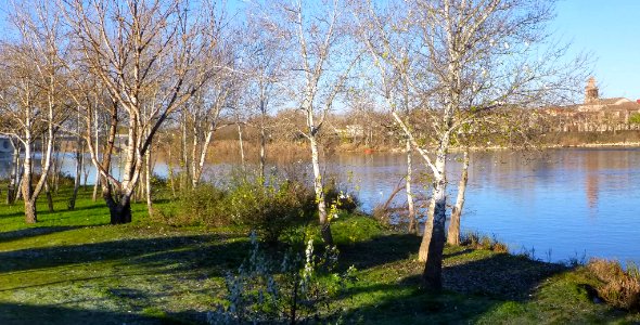 Zamora - Río Duero 08