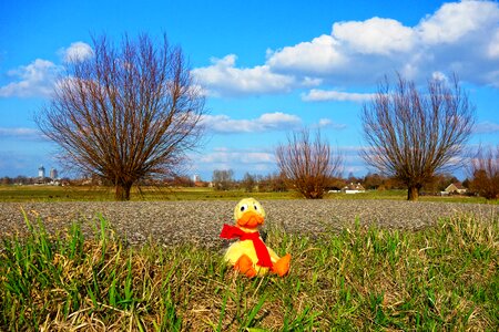 Stuffed duck plush furry photo