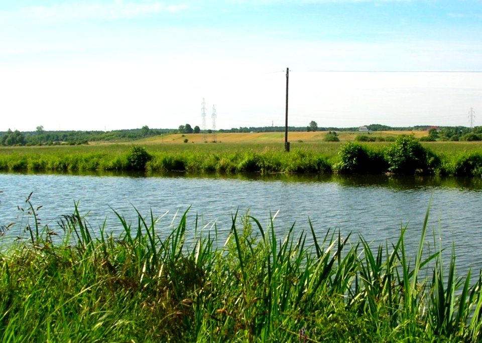 Zbocze Bydgoskie - Prądy 2005e